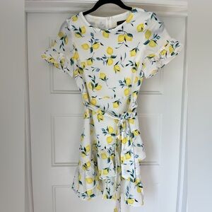 Banana Republic Lemon Print Chiffon Spring Dress